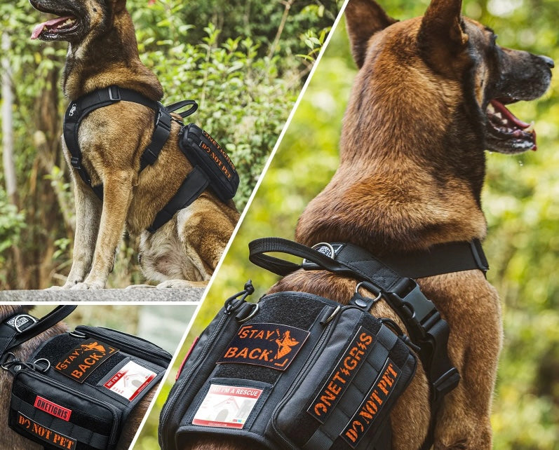 Tactical K9