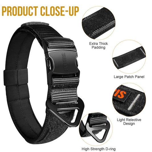 ONETIGRIS - Dog Collar 08