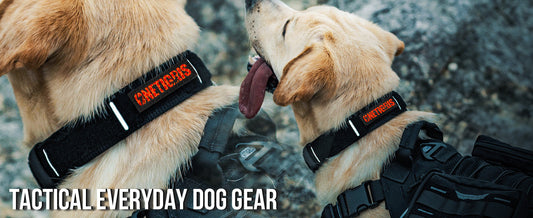 ONETIGRIS - Dog Collar 02